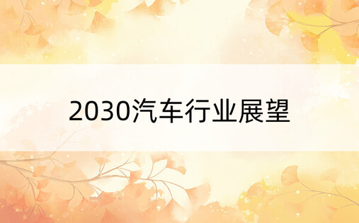 2030汽车行业展望