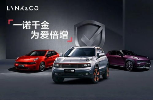 国产汽车新品牌：崛起中的中国力量