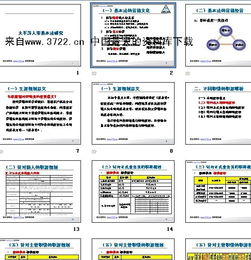 车险保险公司赔付标准是多少