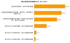 汽车消费者行为分析